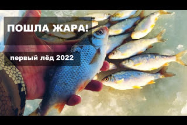 Кракен ссылка орион