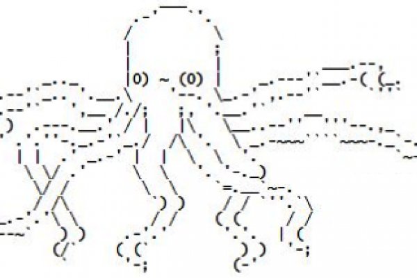 Kraken kraken dark link