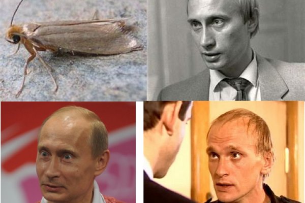Кракен сайт упал