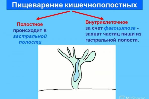 Кракен какой сайт