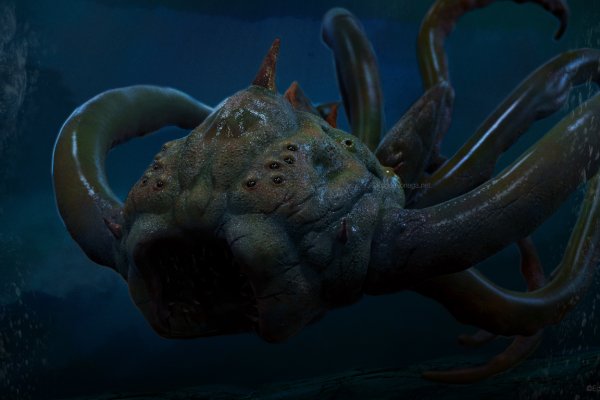 Kraken17 at