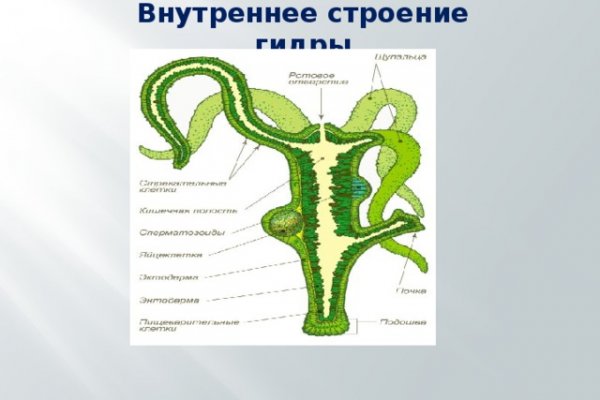 Кракен правильная