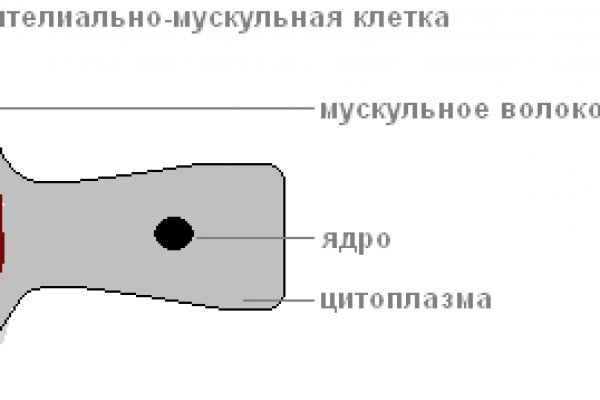 Вместо гидры