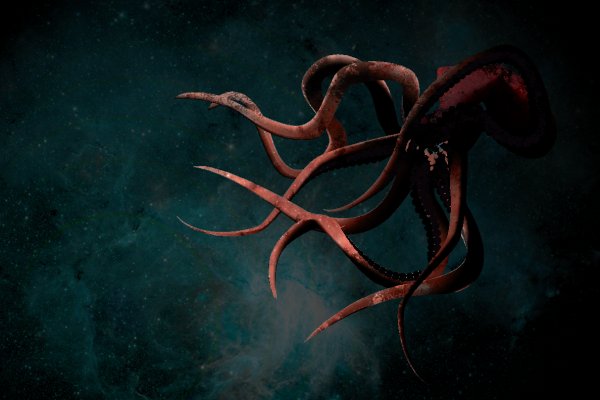 Kraken 24 at