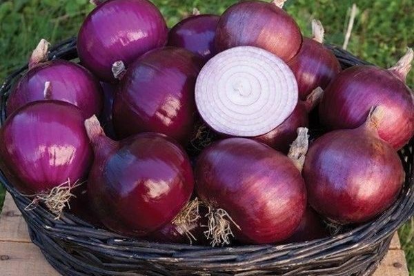 Купить наркоту