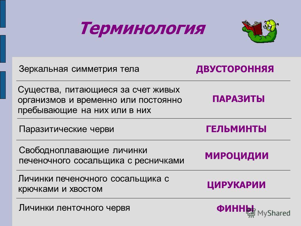Кракен без впн