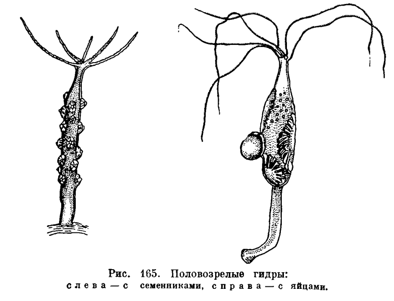 Кракен сайт юнион